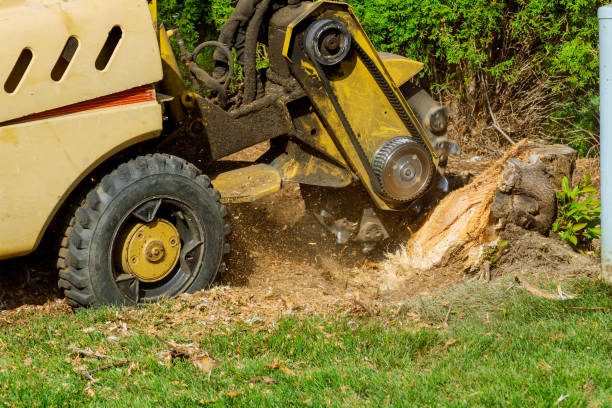 Lawn Maintenance Plans in Staunton, IL